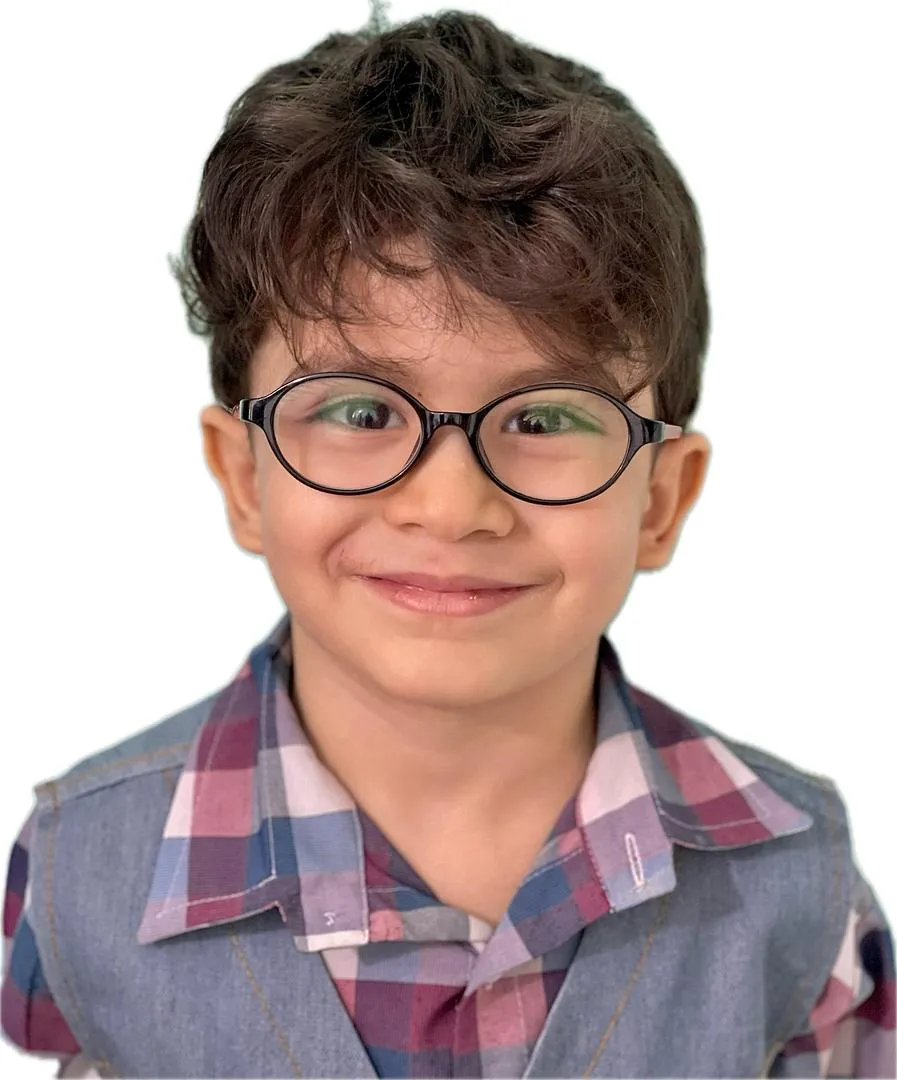 ﻫﺎﻣﯿﻦ ﺧﻠﺠﯽ